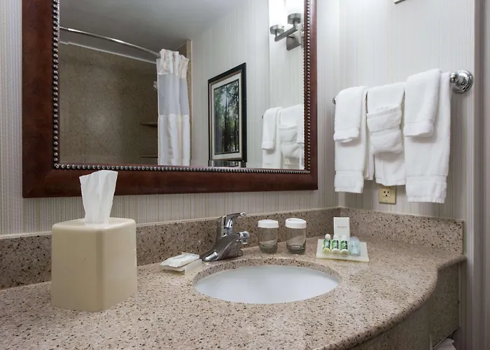 Hilton Garden Lafayette/cajundome Hotel
