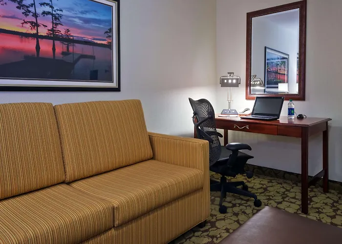 Hilton Garden Lafayette/cajundome 3*
