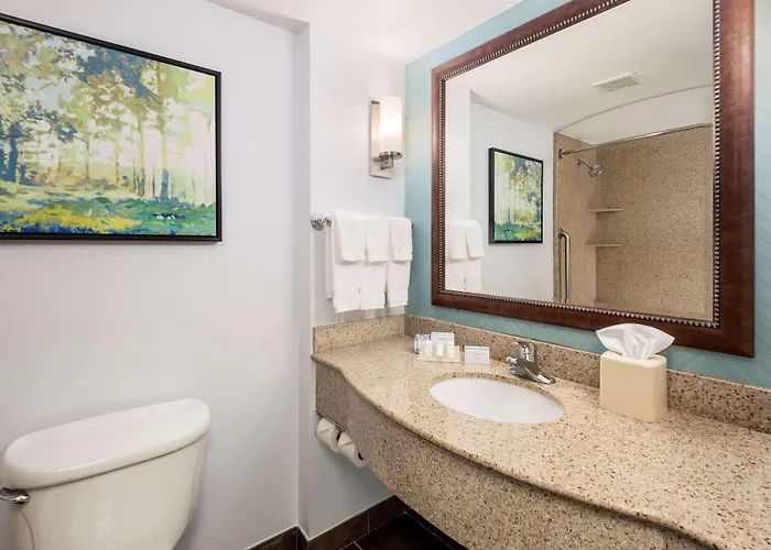 Hilton Garden Lafayette/cajundome Hotel