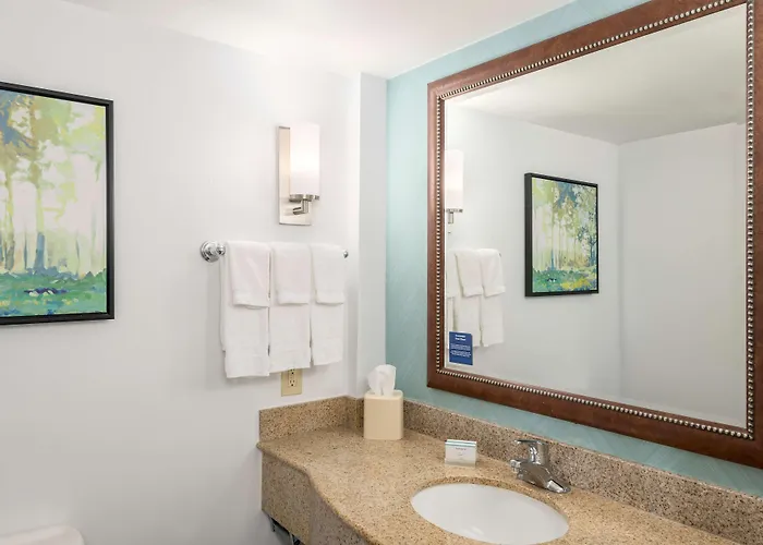 Hilton Garden Lafayette/cajundome Hotel 3*