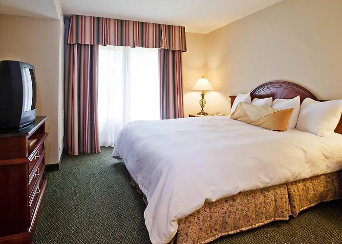Hilton Garden Lafayette/cajundome 3* Lafayette